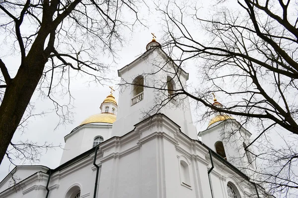 Die orthodoxe Kirche in Polotsk — Stockfoto