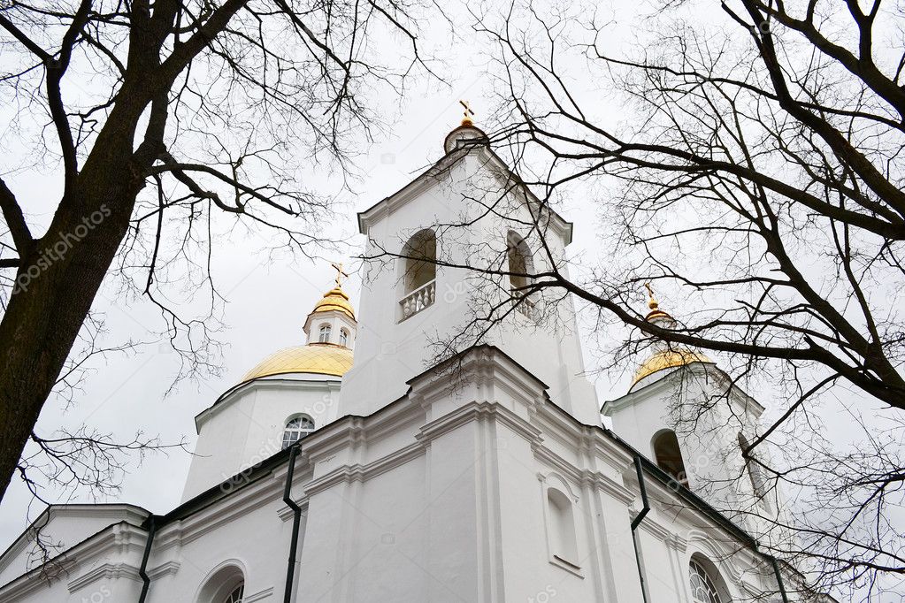 The Orthodox Church in Polotsk
