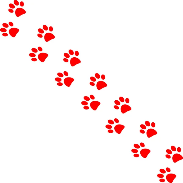 Paw trail — Stock Vector