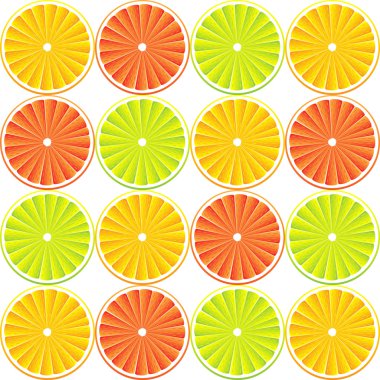 Citrus fruit background - vector clipart