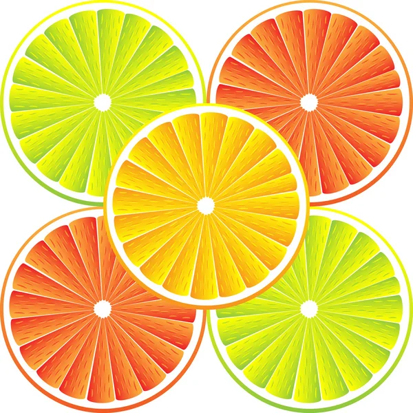 Citrusfrukter bakgrund - vektor — Stock vektor