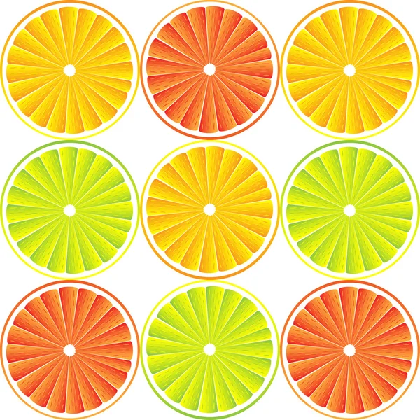 Citrusfélék háttér - vektor — Stock Vector