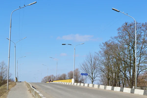 Weergave van de brug over de rivier horyn in david-stad — Stockfoto