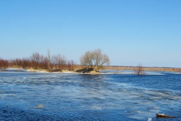 Au début du printemps sur la rivière Pripyat — Photo