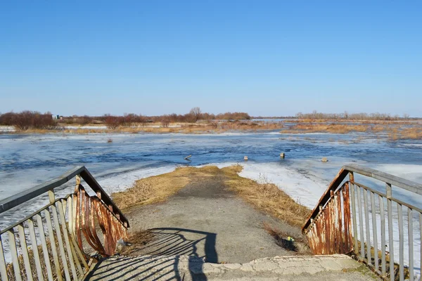 Vroege voorjaar aan de rivier de pripyat — Stockfoto