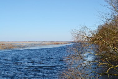 nehir üzerinde erken Bahar pripyat