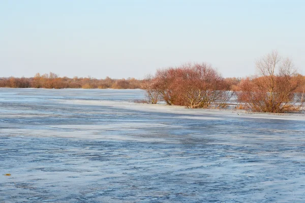 Ранньою весною на річці Прип'ять — стокове фото