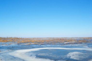 nehir üzerinde erken Bahar pripyat