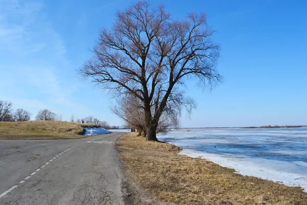 Ранняя весна на реке Припять — стоковое фото