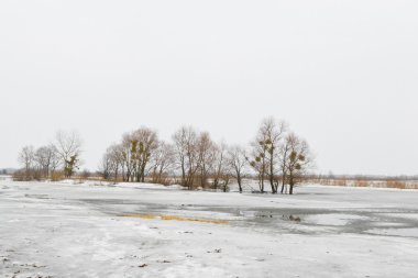 nehir kopanets görünümünü