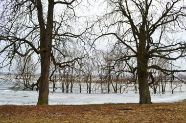 nehir kopanets görünümünü