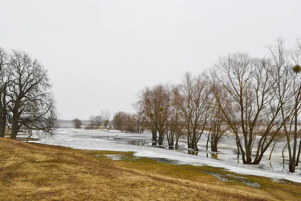 View of the river Kopanets — Stock Photo, Image