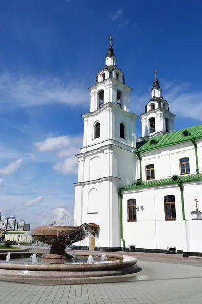 Kathedraal kerk — Stockfoto