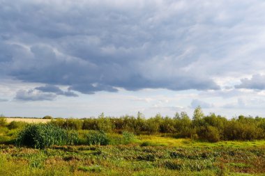 Yaz peyzaj stolin yakın
