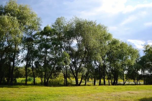Summer landscape near Stolin — Stock Photo, Image