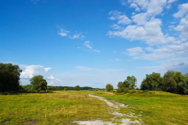 Peisaj de vară lângă Stolin — Fotografie, imagine de stoc