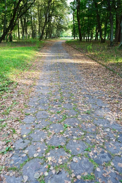 stock image Summer landscape: park in Stolin