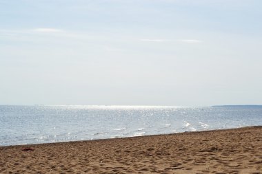 sahil, Finlandiya Körfezi güneşli bir bahar gününde