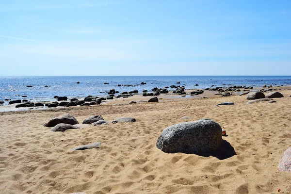 stock image Coast of Gulf of Finland on a sunny spring day