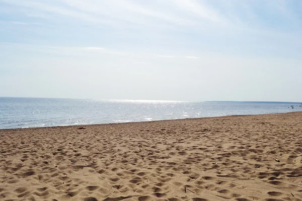 stock image Coast of Gulf of Finland on a sunny spring day