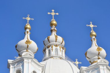 güneşli bir bahar gününde Smolny katedral