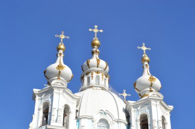 güneşli bir bahar gününde Smolny katedral