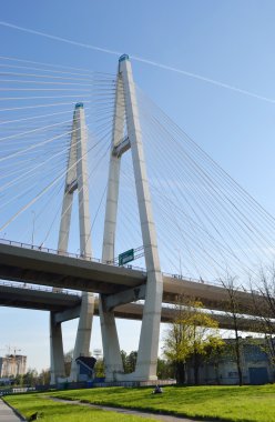 kablo braced Bridge'de st.petersburg.