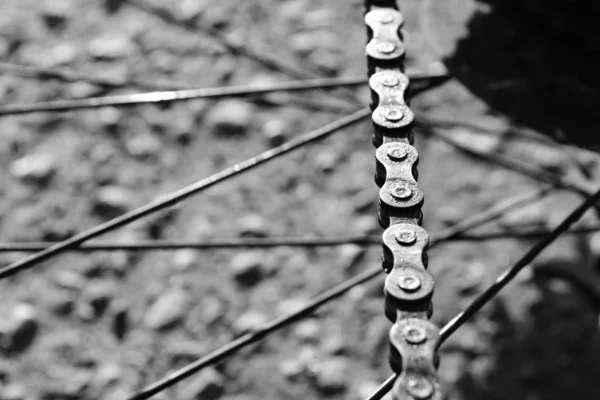 Bicycle chain — Stock Photo, Image
