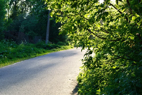 stock image Rural asphalt road