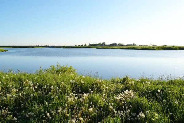 stock image Summer lake landscape