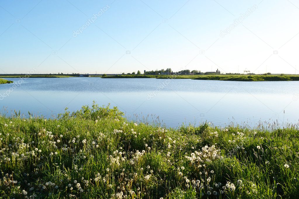 Summer lake landscape