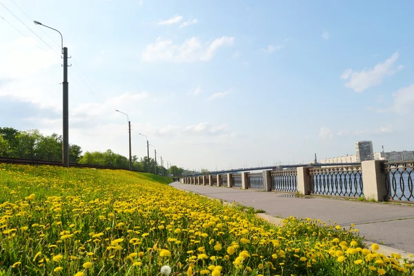 堤防ネヴァ川の眺めサンクトペテルブルグ — ストック写真