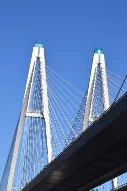 kablo braced Bridge'de st.petersburg