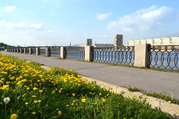 堤防ネヴァ川の眺めサンクトペテルブルグ — ストック写真