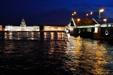 gece Palace bridge. Saint-petersburg, Rusya Federasyonu