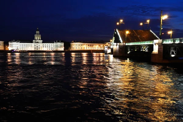 Puente del Palacio por la noche. San Petersburgo, Rusia —  Fotos de Stock