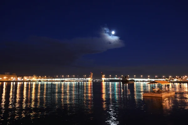 Alexander Nevsky Bridge at night — Stock Photo, Image