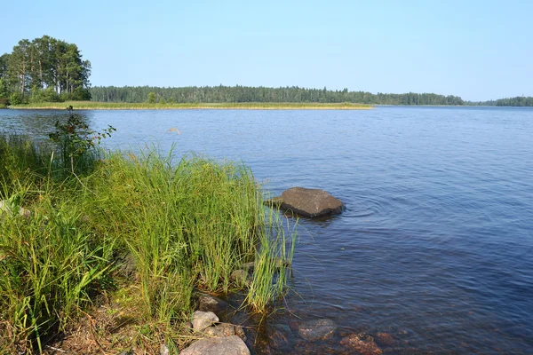 Karelens landskap — Stockfoto