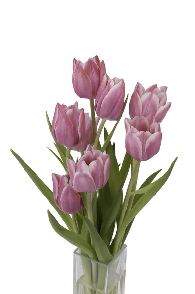 stock image Zoom on a bunch of Tulips in a vase (top view)