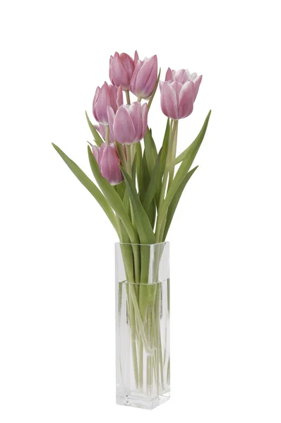 Manojo de tulipanes en un jarrón Imagen de archivo