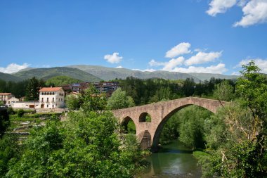 Sant Joan De Les Abadesses