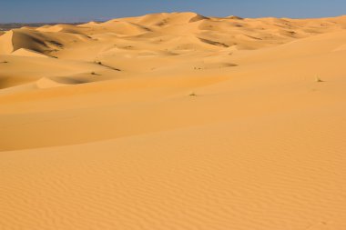 Erg Chebbi in the Sahara desert clipart