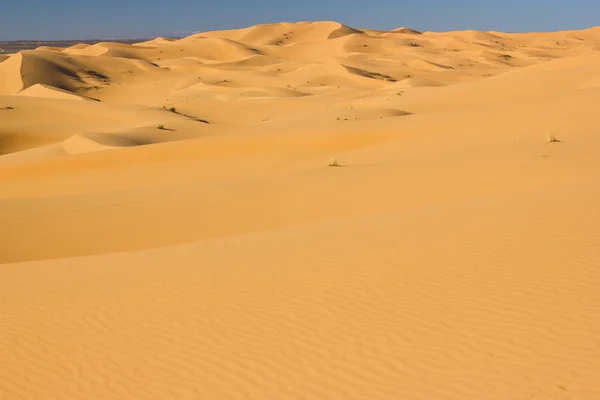 Erg Chebbi no deserto do Saara — Fotografia de Stock