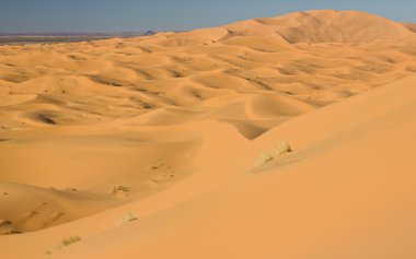 ERG African sahara Çölü'nde