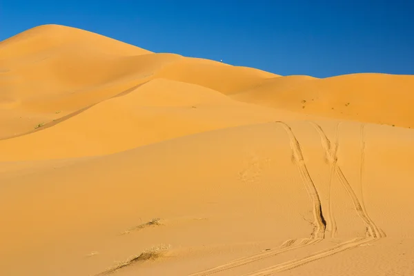 Erg Chebbi nel deserto del Sahara — Foto Stock