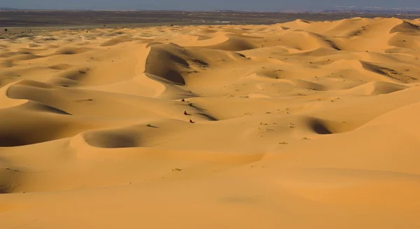 ЕРГ Chebbi в пустелі Сахара — стокове фото