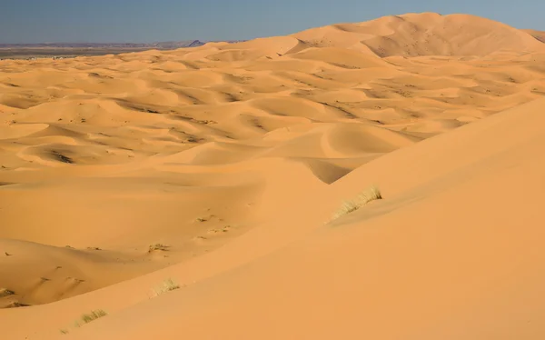 ERG chebbi i Saharaöknen — Stockfoto