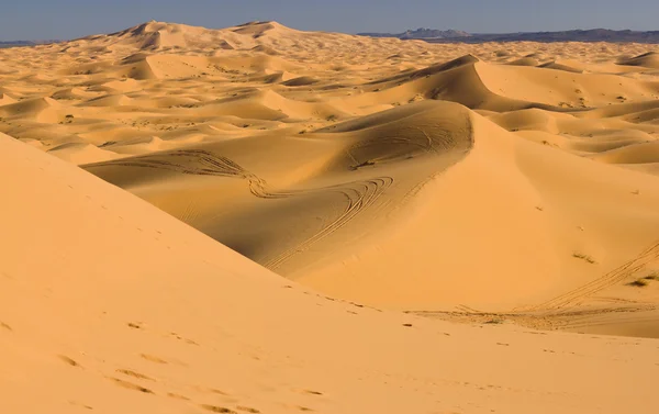 Erg Chebbi en el desierto del Sahara — Foto de Stock