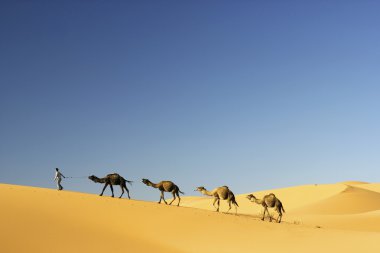 merzouga, Fas içinde deve karavan