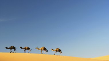 merzouga, Fas içinde deve karavan